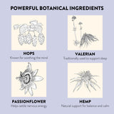 Illustrations of hops, valerian, passionflower, and hemp with their benefits on a light purple background.