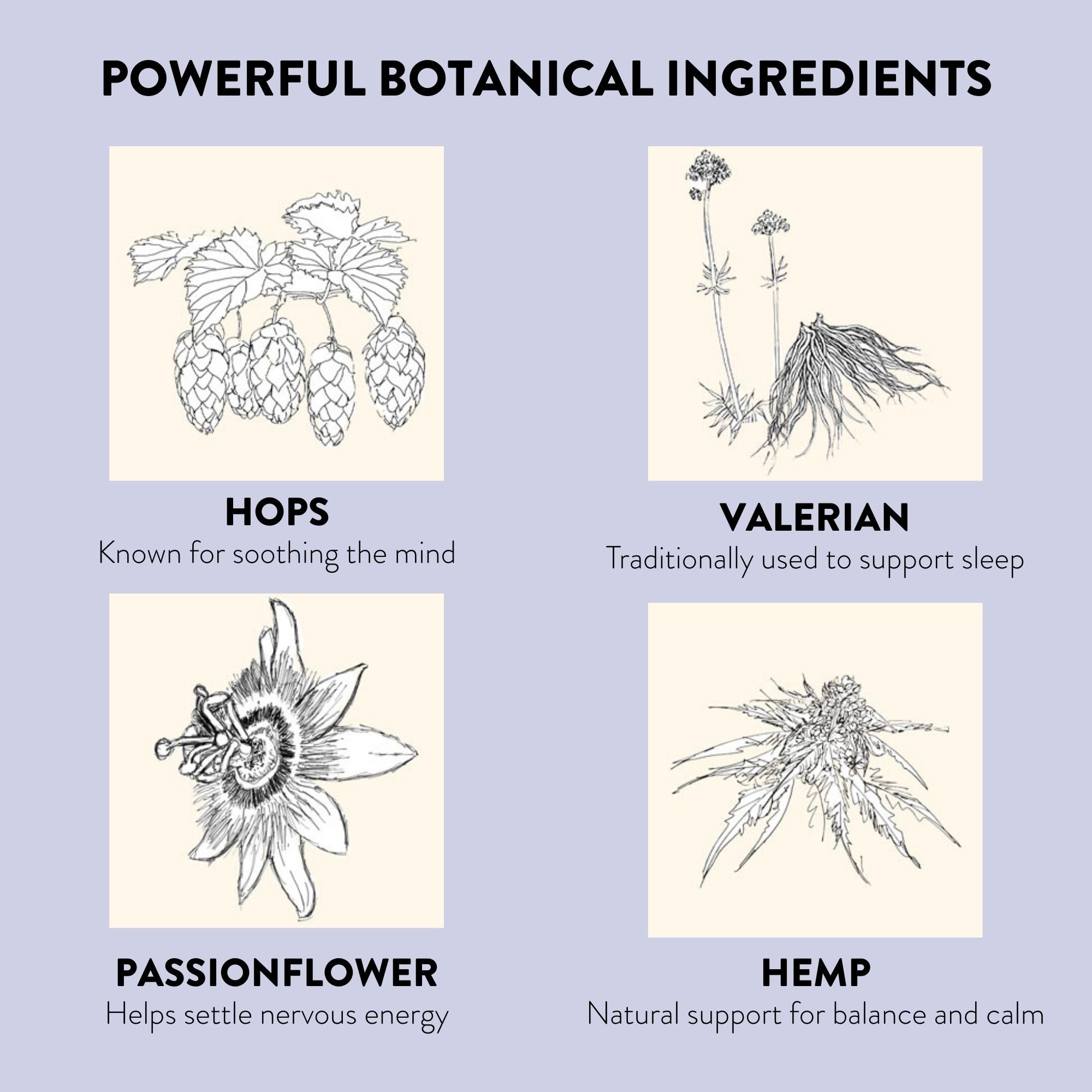 Illustrations of hops, valerian, passionflower, and hemp with their benefits on a light purple background.