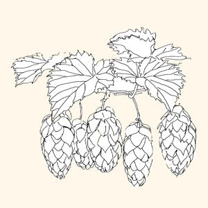 botanicals-hops.jpg