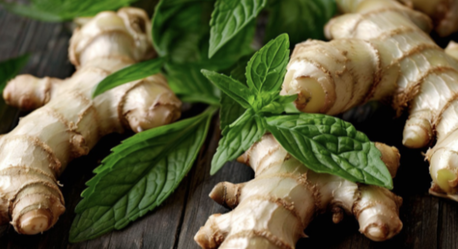 Top 12 Herbs and Other Remedies for Natural Pain Relief